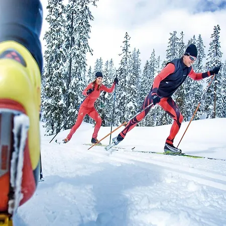 Near Hochkoenig Slopes Apartmán
